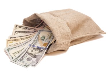 dolar para çantası 