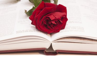 Açık kitap ve kırmızı gül