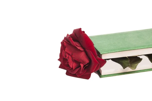 Libro y rosa roja aislados en blanco — Foto de Stock
