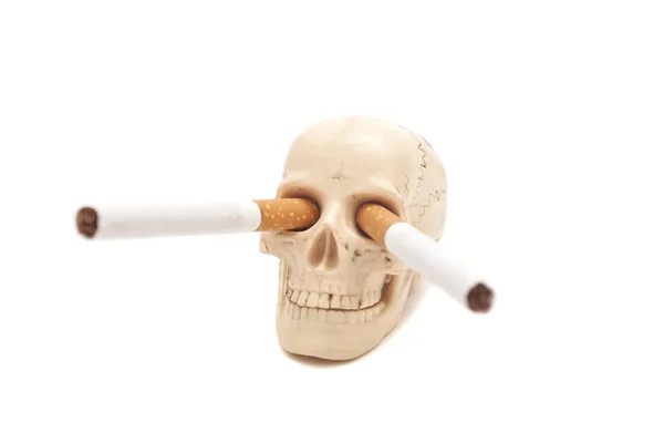 Teschio umano con sigarette isolate su bianco — Foto Stock