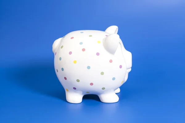 Pink Piggy Bank em fundo azul — Fotografia de Stock