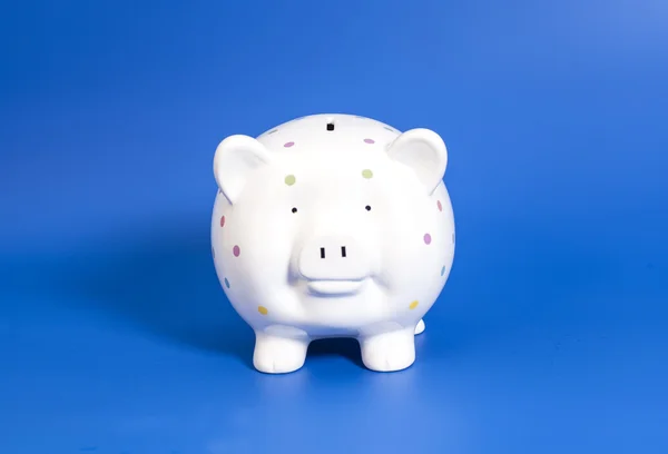 Pink piggy bank on blue background — Stock Photo, Image