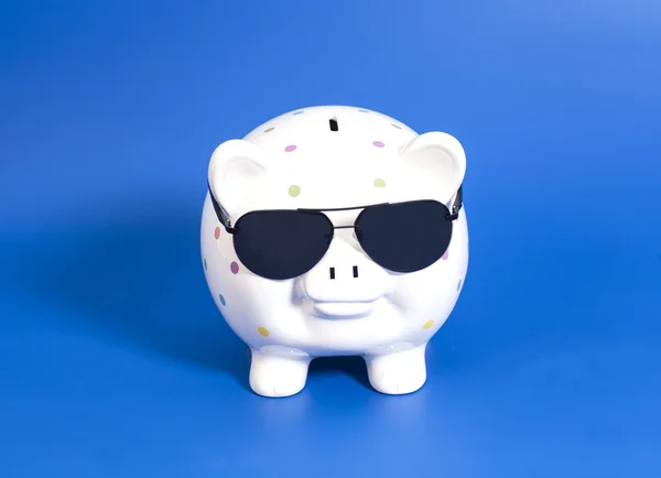 Piggy banco com óculos de sol no fundo azul — Fotografia de Stock