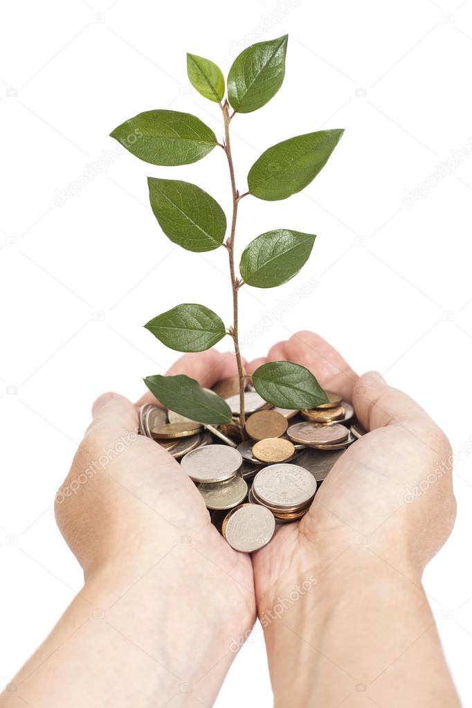 hand holding tree growing on coins 