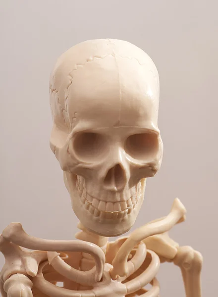 人間の骸骨髑髏医学 — ストック写真