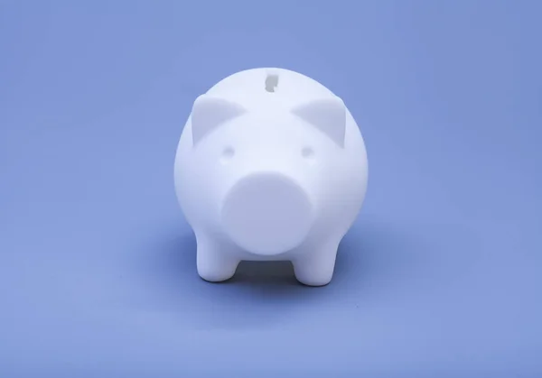 Piggy banco sobre fundo cinza — Fotografia de Stock