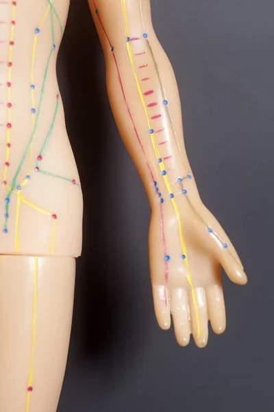 Medical acupuncture model of human hand on black background — Stock Photo, Image