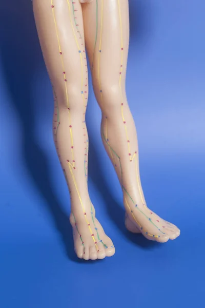 İnsan ayakları mavi arka plan üzerinde tıbbi akupunktur modeli — Stok fotoğraf