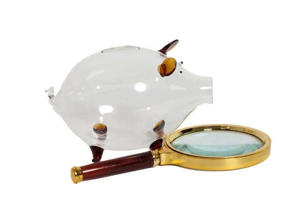 Glass Piggy bank with magnifying glass Stock Image