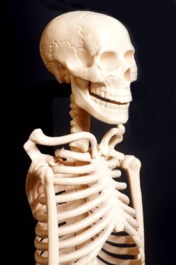 siyah arka plan üzerinde insan iskeleti