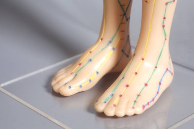 Tıbbi akupunktur modeli insan ayak
