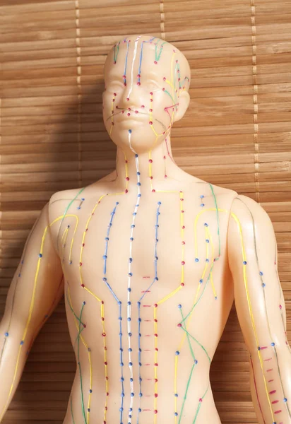 Medical acupuncture model of human — Stock Photo, Image