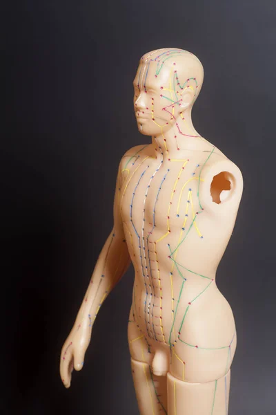 Modelo de acupuntura médica de humano sobre fundo preto — Fotografia de Stock
