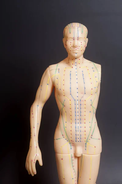 Medical acupuncture model of human on black background — Stock Photo, Image