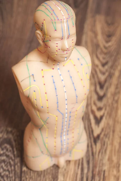 Medical acupuncture model of human on wooden background — Stock Photo, Image