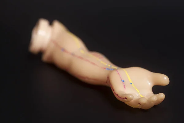 Modelo de acupuntura médica da mão humana sobre fundo preto — Fotografia de Stock