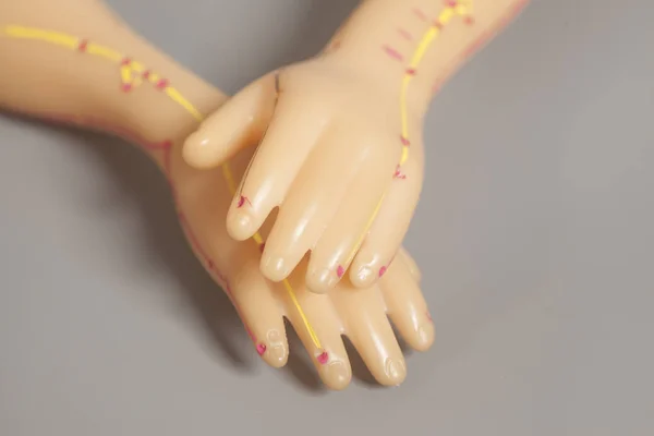 Modello di agopuntura medica delle mani umane — Foto Stock