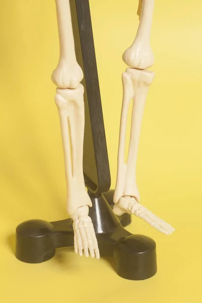 Pernas de esqueleto no fundo amarelo — Fotografia de Stock
