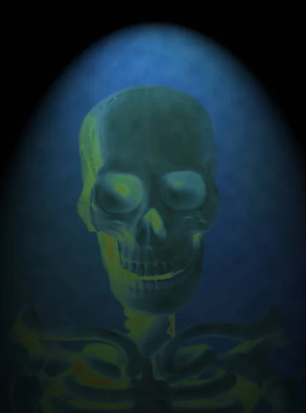 Rayos X de un cráneo humano — Foto de Stock