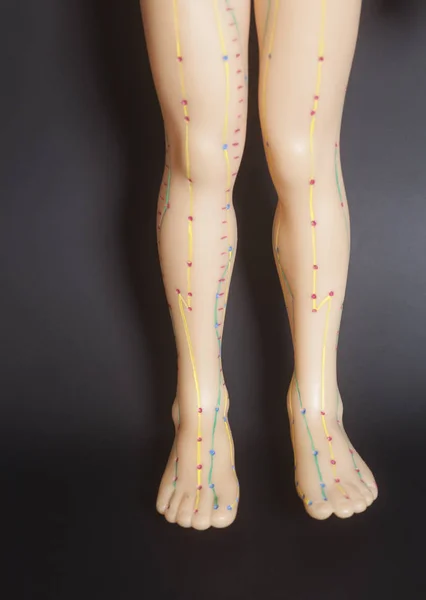 Tıbbi akupunktur modeli insan ayak — Stok fotoğraf
