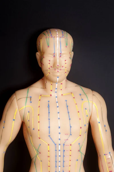 Modelo de acupuntura médica de humano sobre fondo negro — Foto de Stock