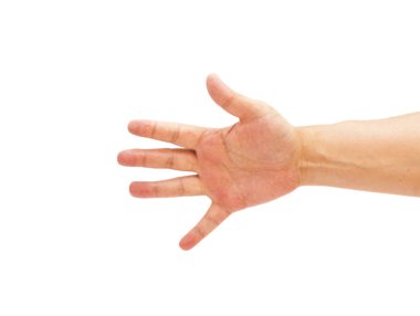 Beyaz arkaplanda insan el işareti izole edildi 