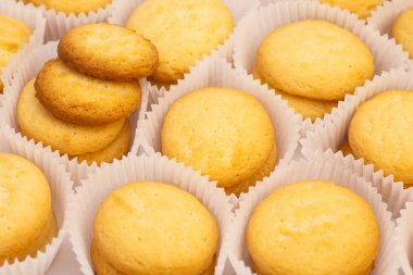 Fırında kurabiye bisküvi