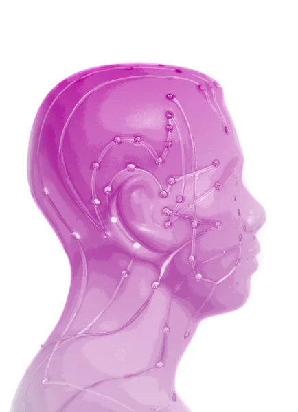 Πρότυπο ιατρικό βελονισμό ανθρώπινο κεφάλι που απομονώνονται σε λευκό έκφραση — Φωτογραφία Αρχείου