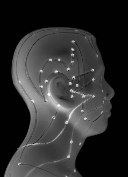 Modelo de acupuntura médica de la cabeza humana sobre fondo negro — Foto de Stock