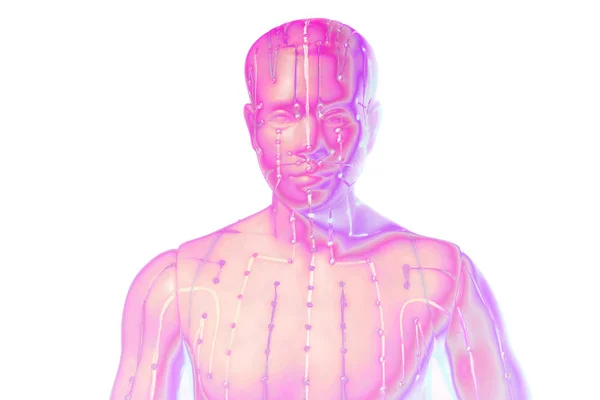 Modelo de acupuntura médica de humano isolado em fundo branco — Fotografia de Stock