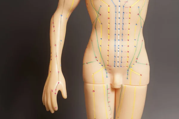 Modelo de acupuntura médica de humano sobre fundo preto — Fotografia de Stock
