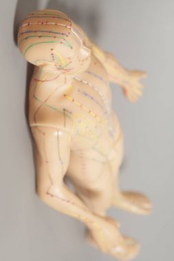 İnsan gri arka plan üzerinde tıbbi akupunktur modeli