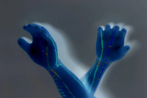 Медицинская акупунктурная модель человеческой руки на сером фоне — стоковое фото