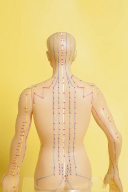 İnsan sarı arka plan üzerinde tıbbi akupunktur modeli 