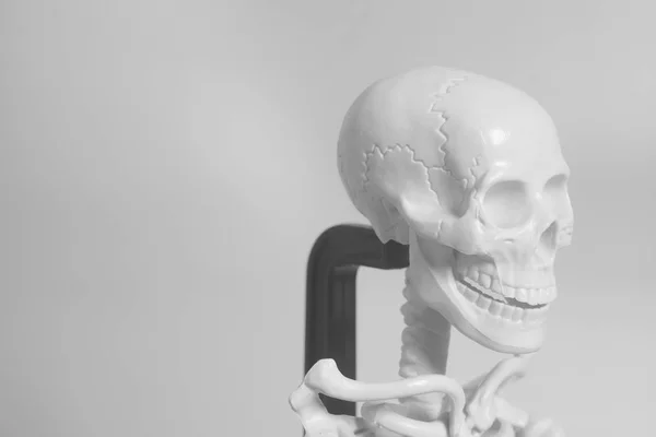 회색 배경에 인간의 두개골 모델 — 스톡 사진