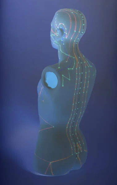 Medical acupuncture model of human on blue background