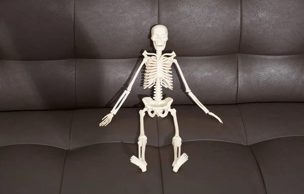 Skeleton sitting on the brown leather sofa