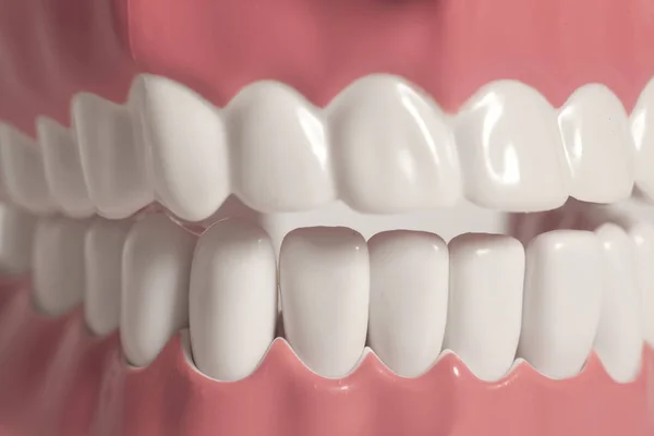Modelo de dientes de cerca — Foto de Stock