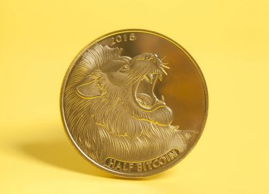 Aslan ile yarım bitcoin 