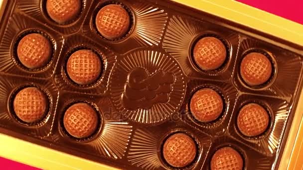 Trufas de coñac final de chocolate fino en caja . — Vídeo de stock