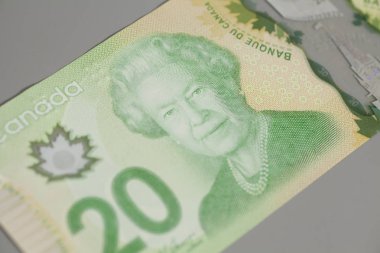 Kanada 20 dolar gri arka plan üzerinde