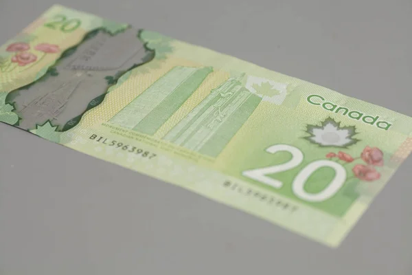 Kanadský dvacet dolarů na šedém pozadí — Stock fotografie