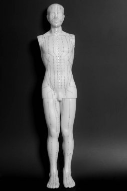 İnsan tıbbi akupunktur modeli 