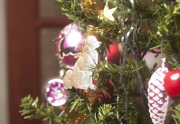 Glaskulor avsluta kartong hund hängande på grön julgran branc — Stockfoto
