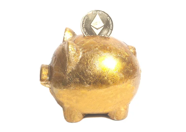 테리 동전과 돼지 저금통 — 스톡 사진