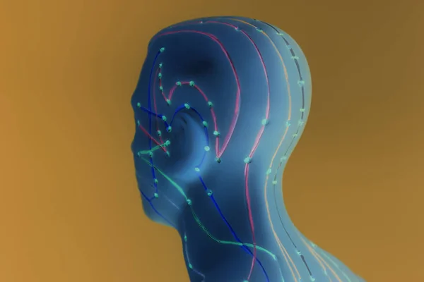 Modelo médico de acupuntura da cabeça humana — Fotografia de Stock