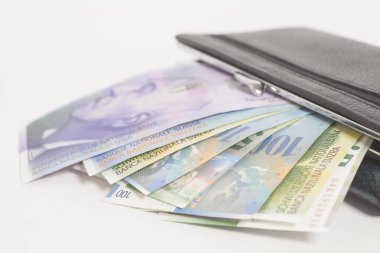 İsviçre Frankı cinsinden cüzdan 