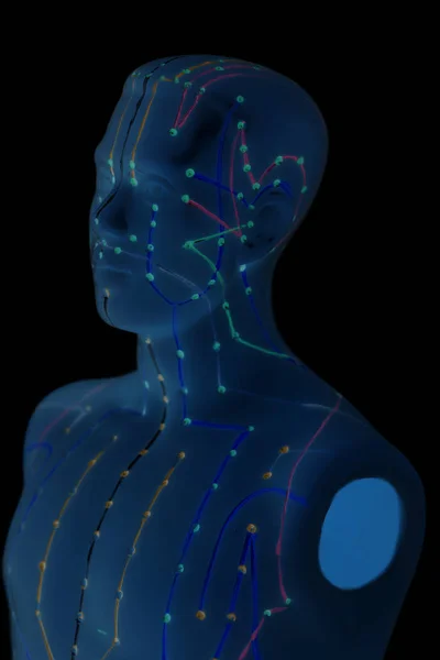 Modelo médico da acupuntura do ser humano — Fotografia de Stock