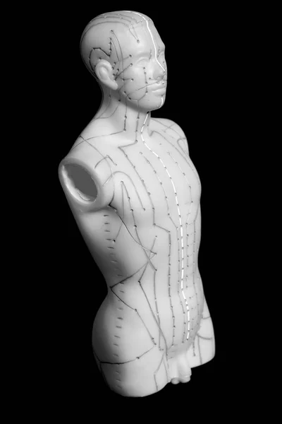 Modèle d'acupuncture médicale de l'homme — Photo