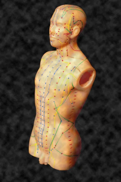 Medical acupuncture model of human — Stock Photo, Image